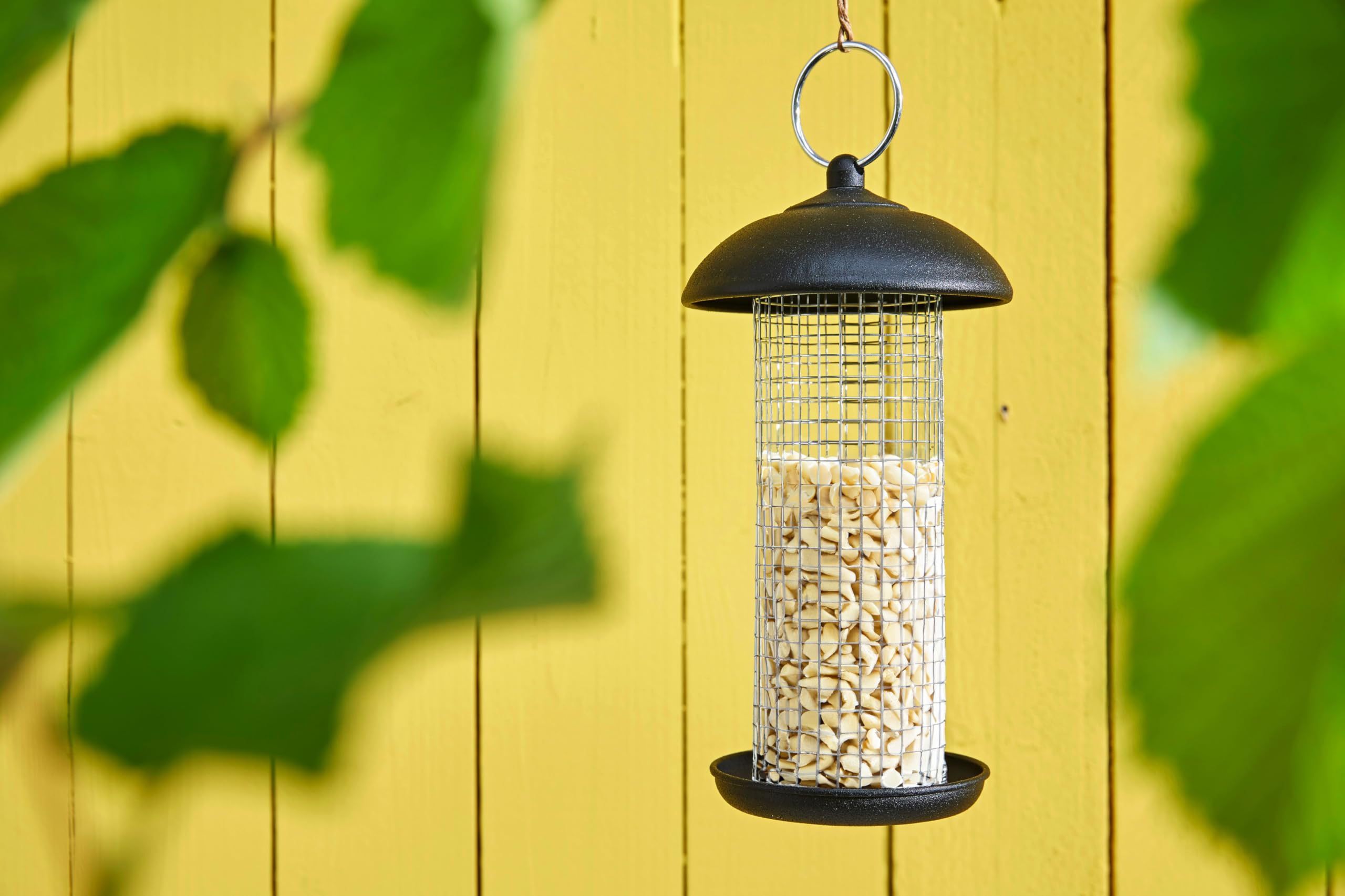 dehner-natura-premium-wildvogelfutter-erdn-sse-3-4-kg image 6