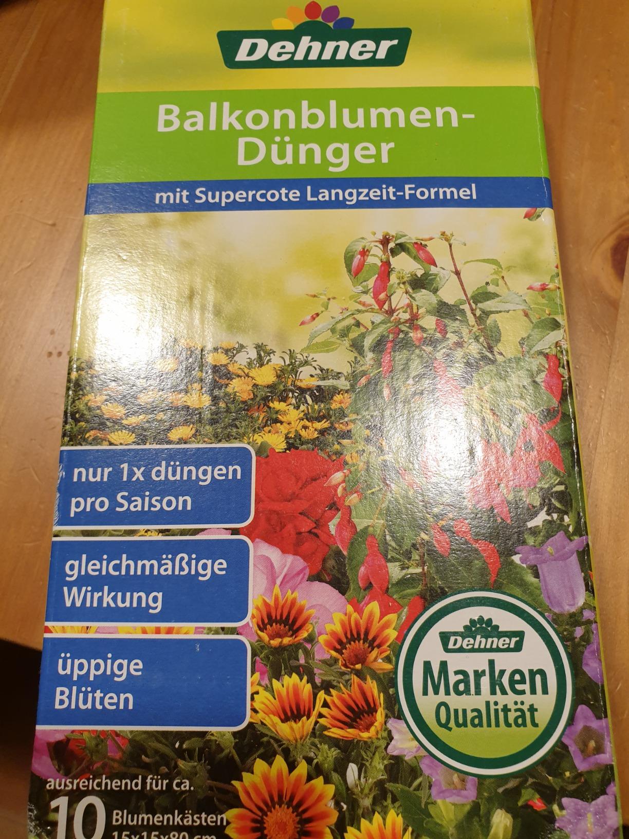 Blüht ohne Pause
