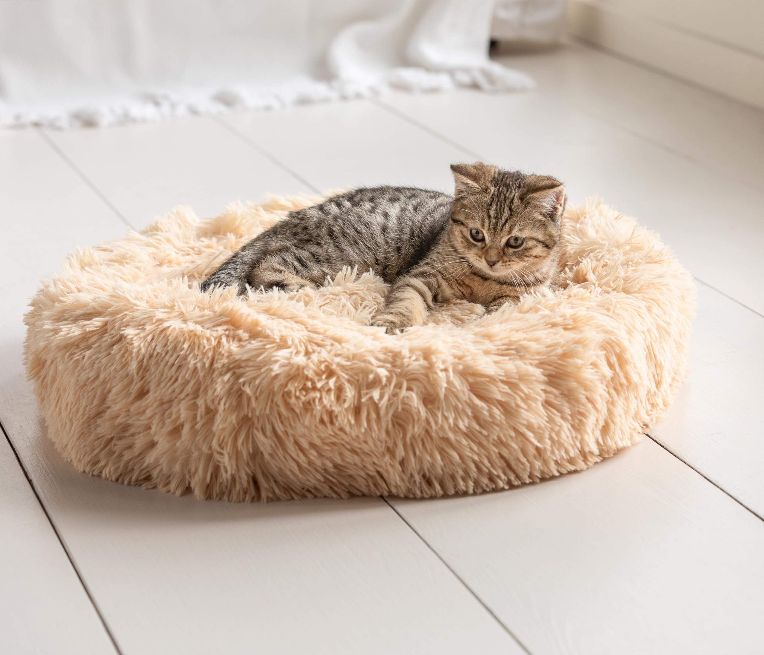 dehner-lieblinge-cookie-hundebett-l-76-cm-beige-pl-sch image 5