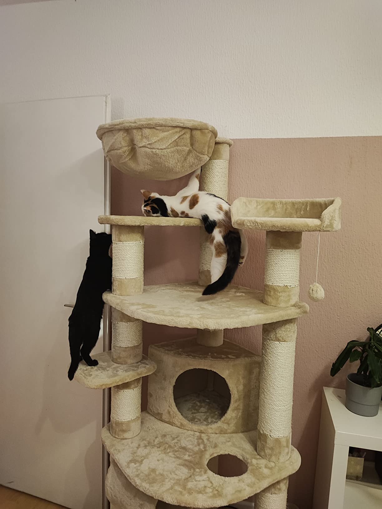 Viel Platz