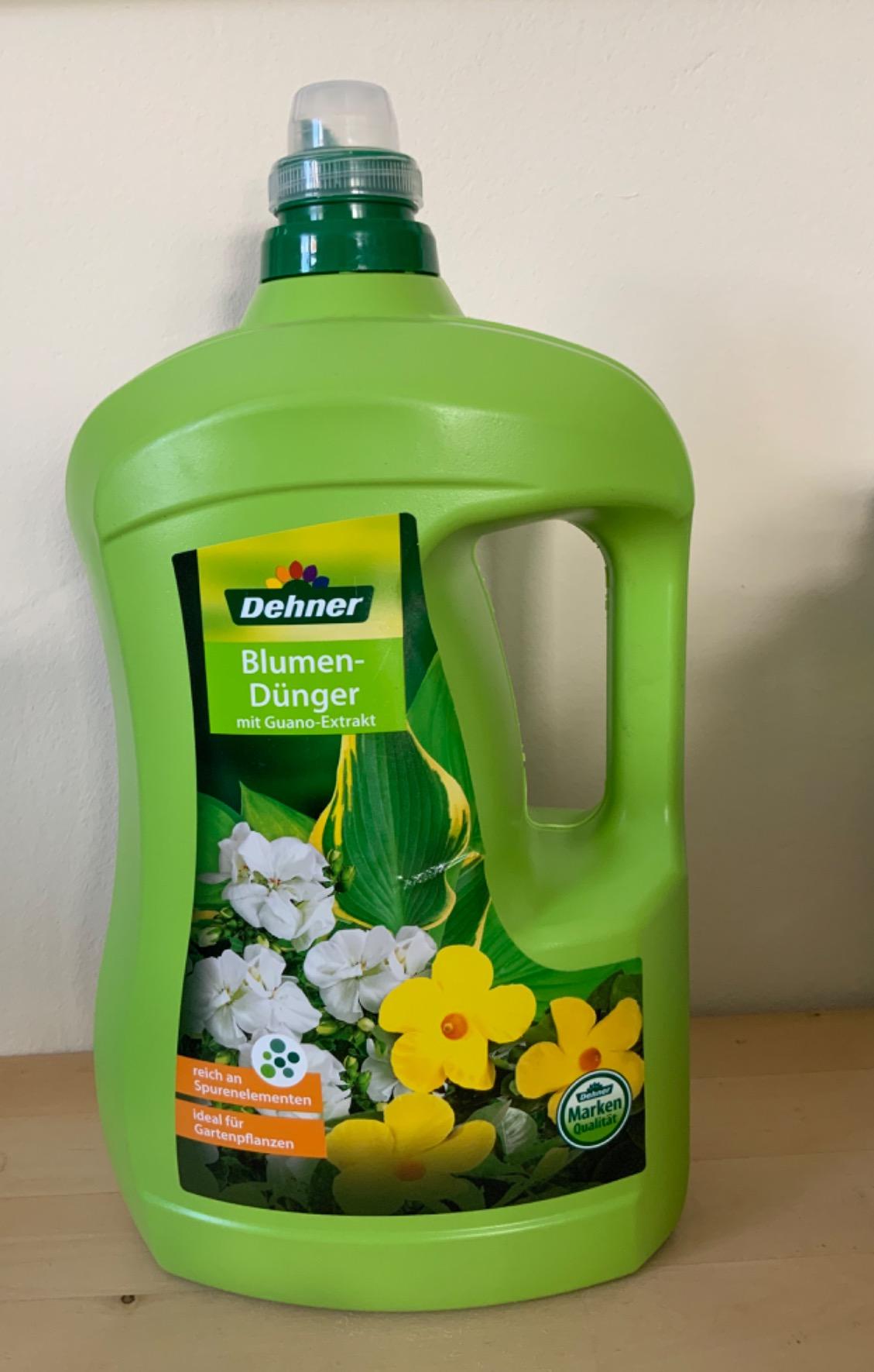 Grüne Blätter