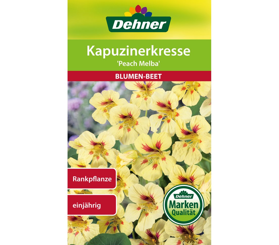 dehner-kapuzinerkresse-peach-melba-saatgut-5x5-g image 1