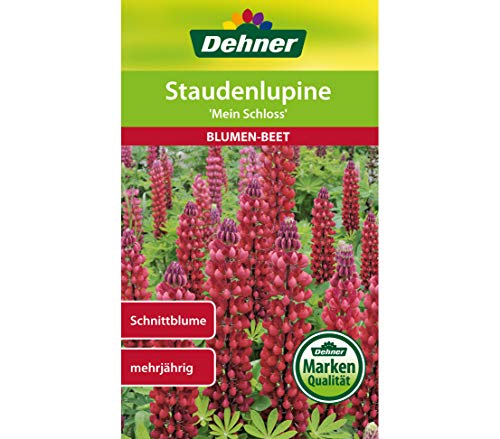 dehner-staudenlupine-mein-schloss-blumensamen-5er-pack-rot image 4