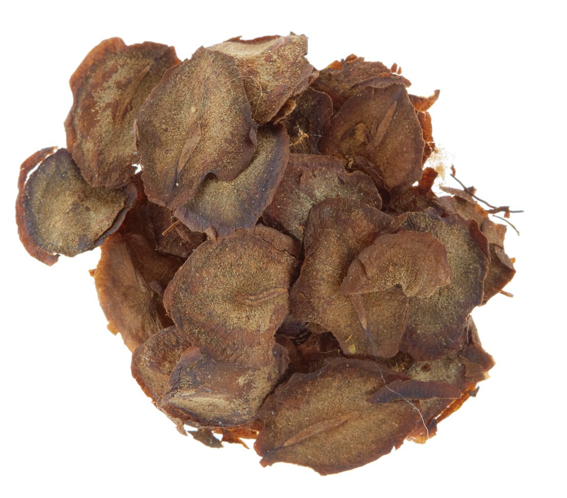 dehner-glockenrebe-violettk-nigin-blumensamen-5x2-5g-einj-hrig image 3
