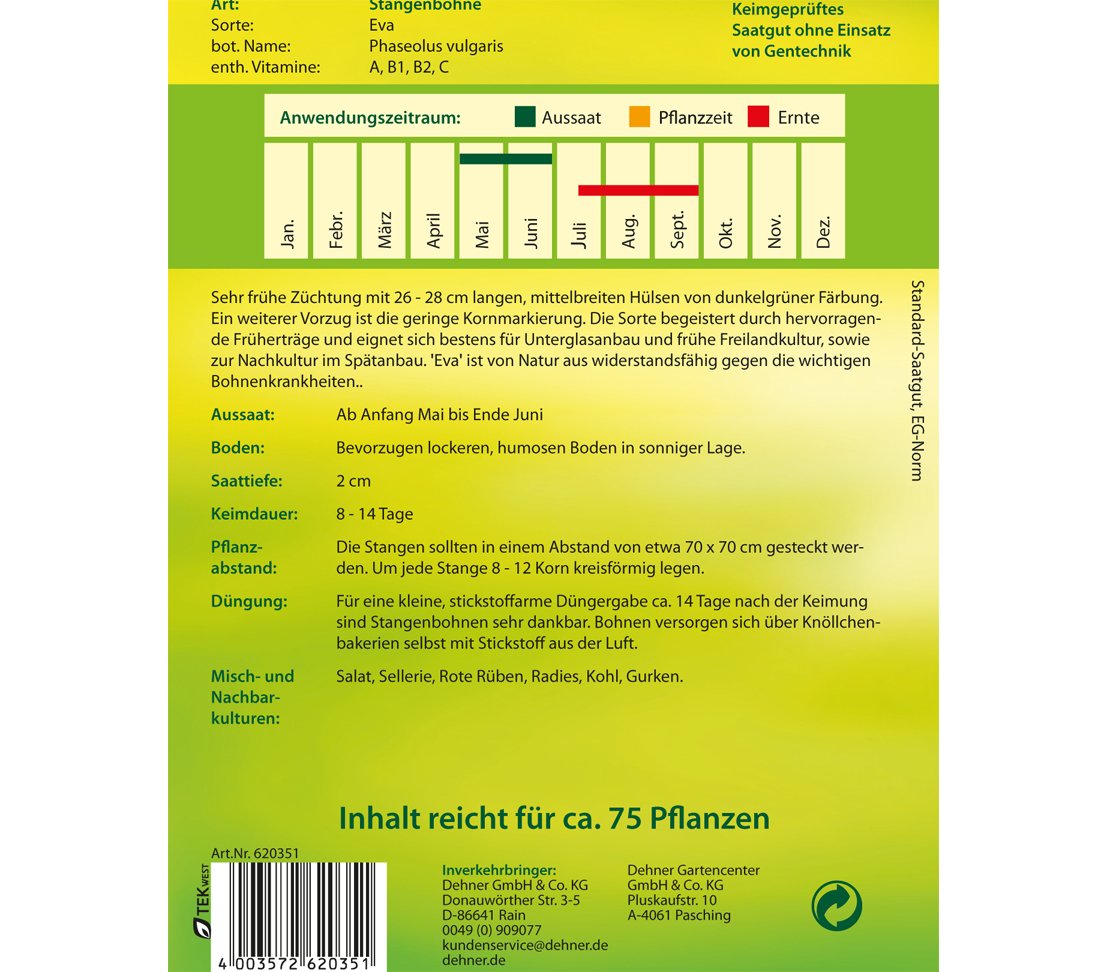 dehner-stangenbohne-eva-bohnensamen-5er-pack-fr-h image 2