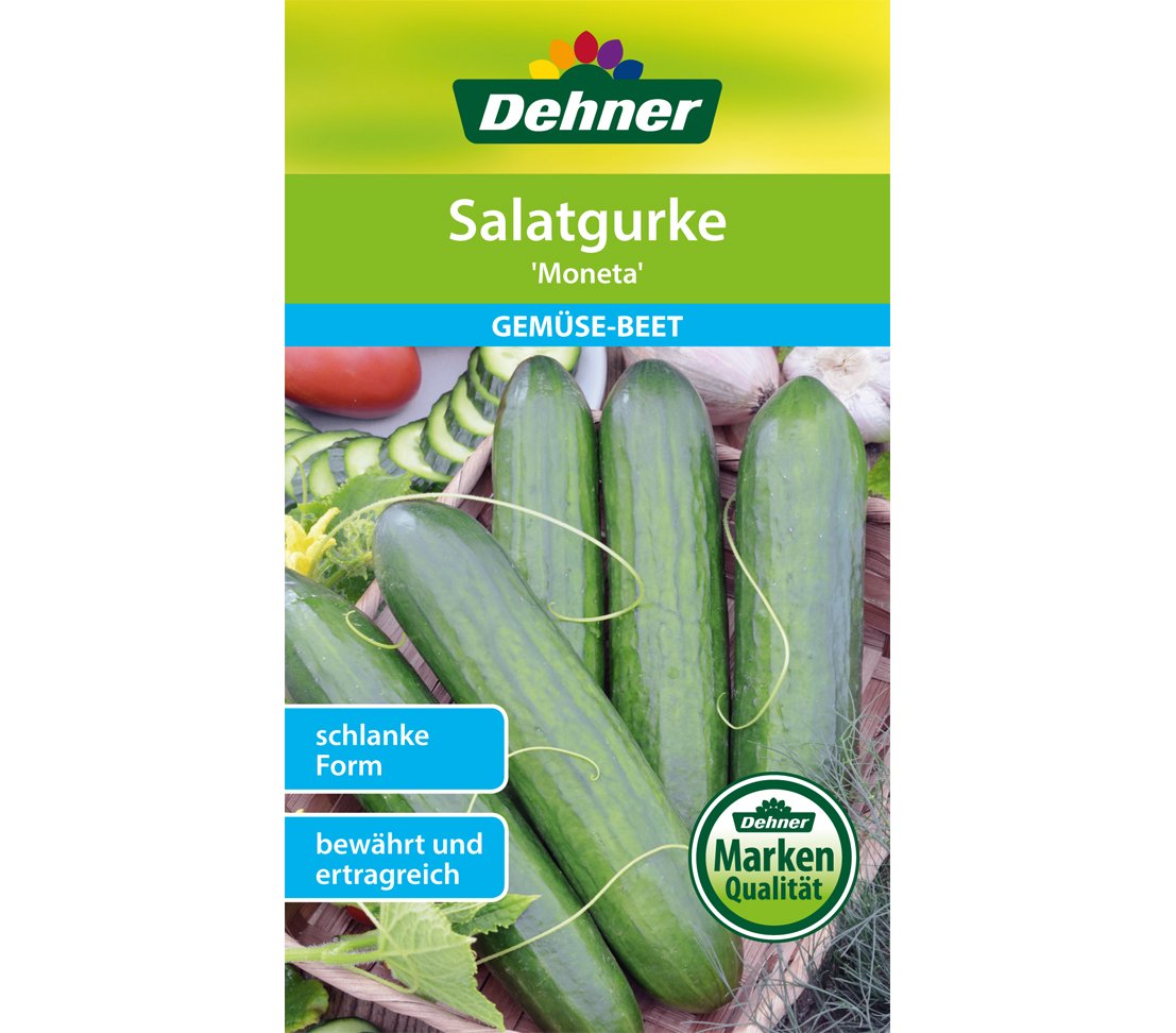 dehner-salatgurke-moneta-samen-5er-pack-schlank image 1