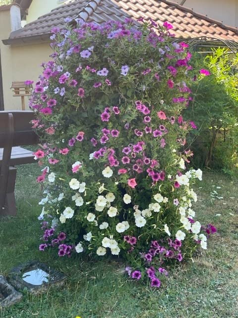 Stabile Stiele