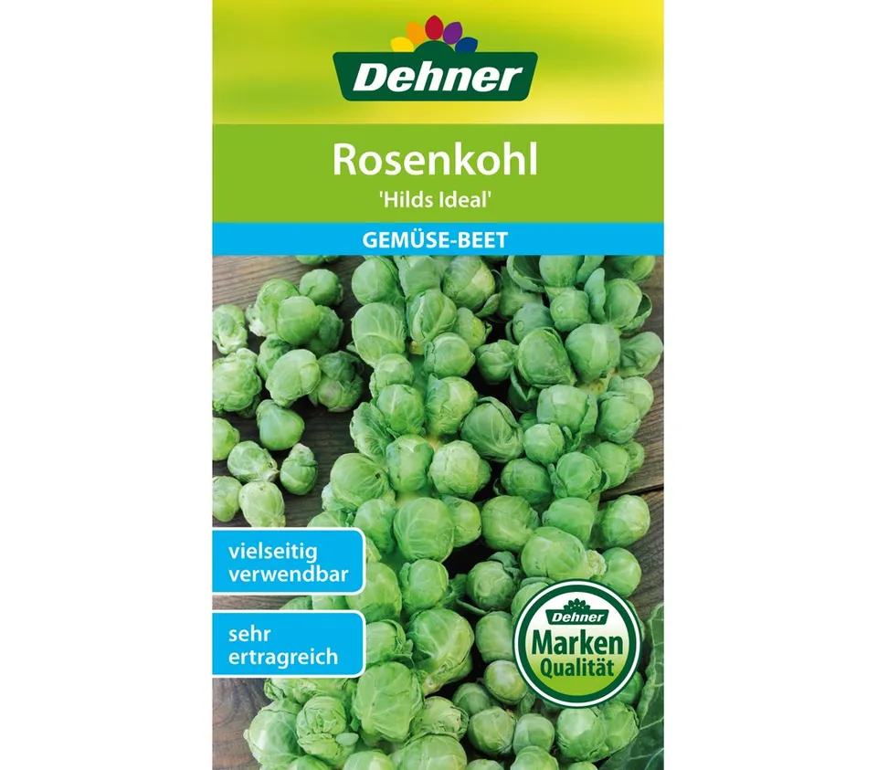 dehner-rosenkohl-hilds-ideal-gem-sesamen-5x2g-ertragreich image 1