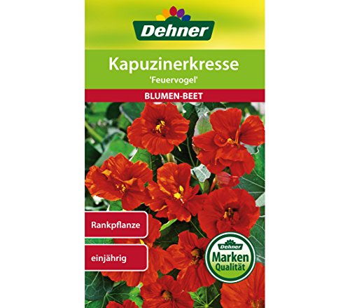 dehner-kapuzinerkresse-feuervogel-blumensamen-5er-pack-dauerbl-her image 4
