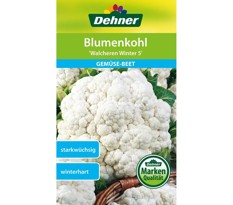 dehner-blumenkohl-walcheren-winter-5-saatgut-5er-pack image 1