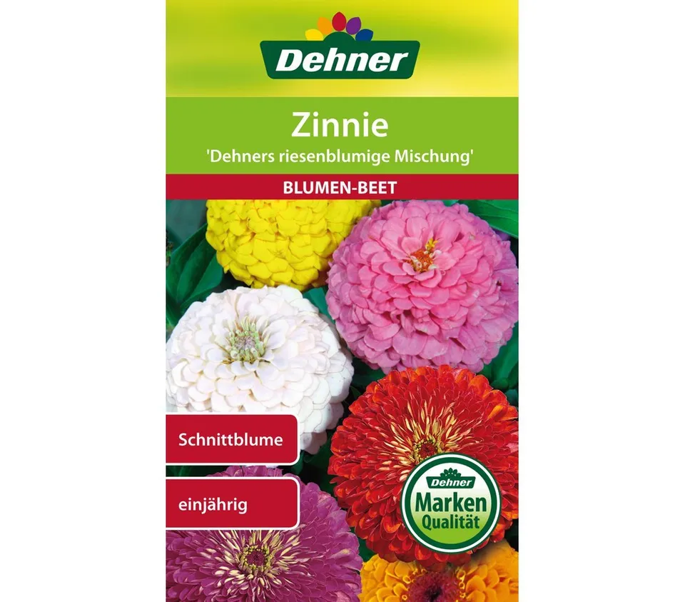 dehner-zinnie-riesenblumige-mischung-blumensamen-5er-pack image 1
