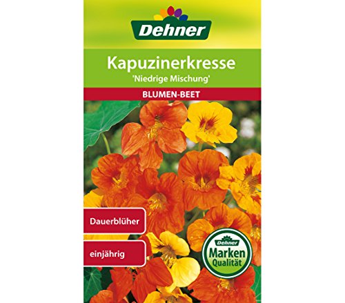 dehner-rasensamen-kapuzinerkresse-niedrige-mischung-blumensamen-5x10g image 3
