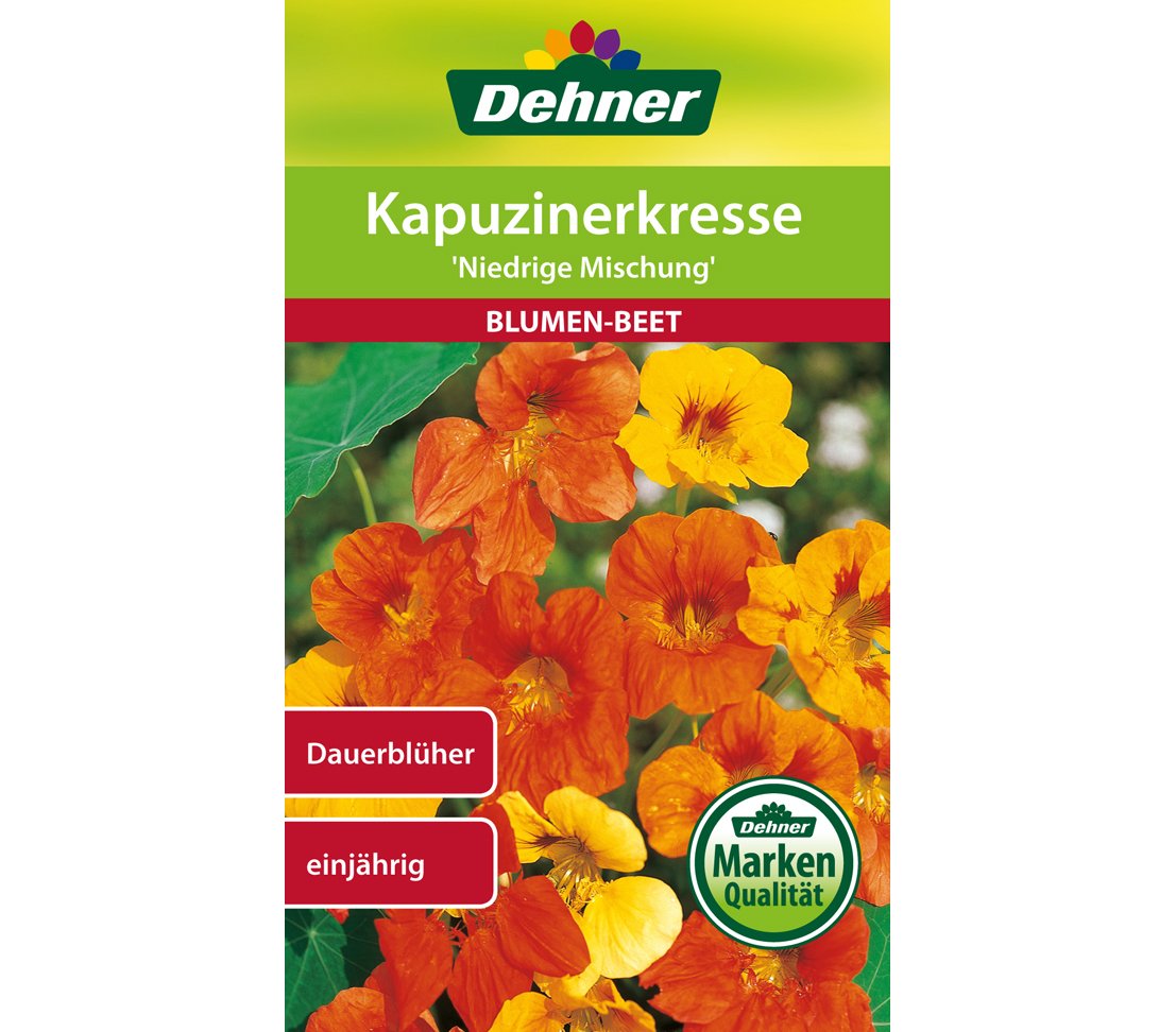 dehner-rasensamen-kapuzinerkresse-niedrige-mischung-blumensamen-5x10g image 1