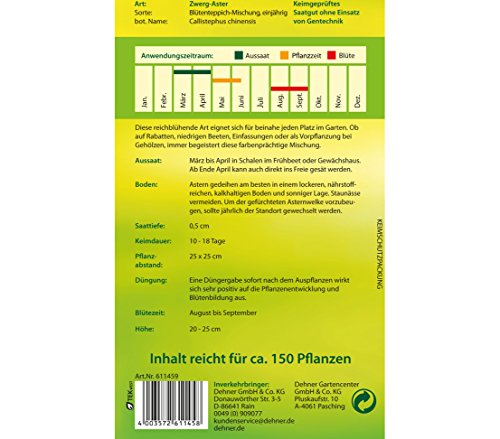dehner-zwerg-aster-bl-tenteppich-blumensamen-5er-pack-einj-hrig image 4