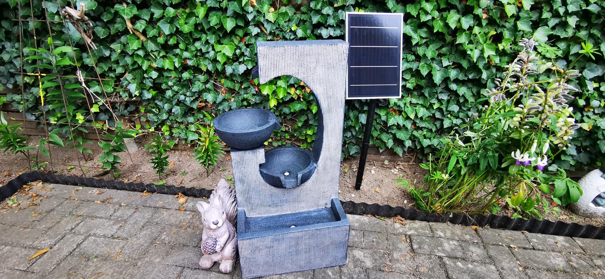 Vögel trinken daraus