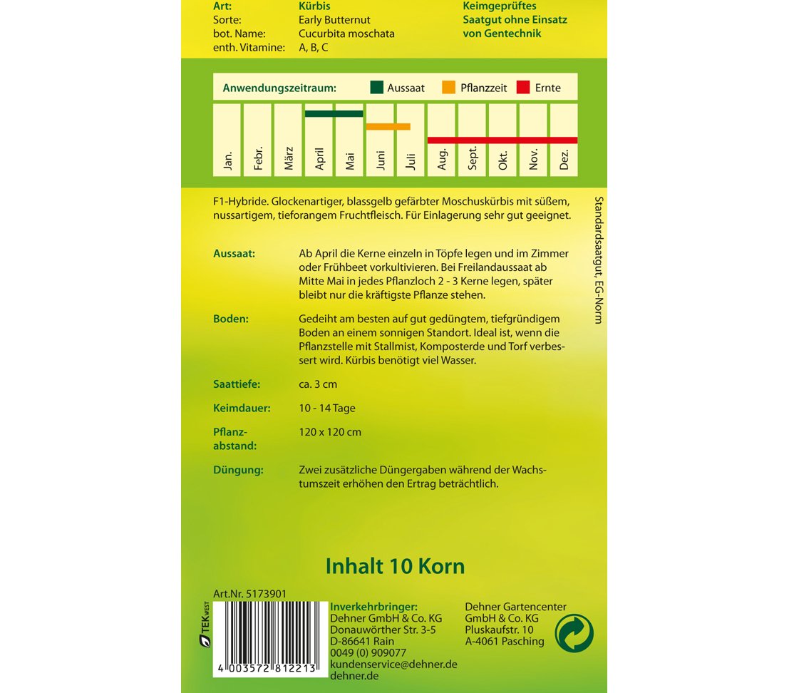 dehner-k-rbis-early-butternut-gem-sesamen-5er-pack-f1-hybride image 2