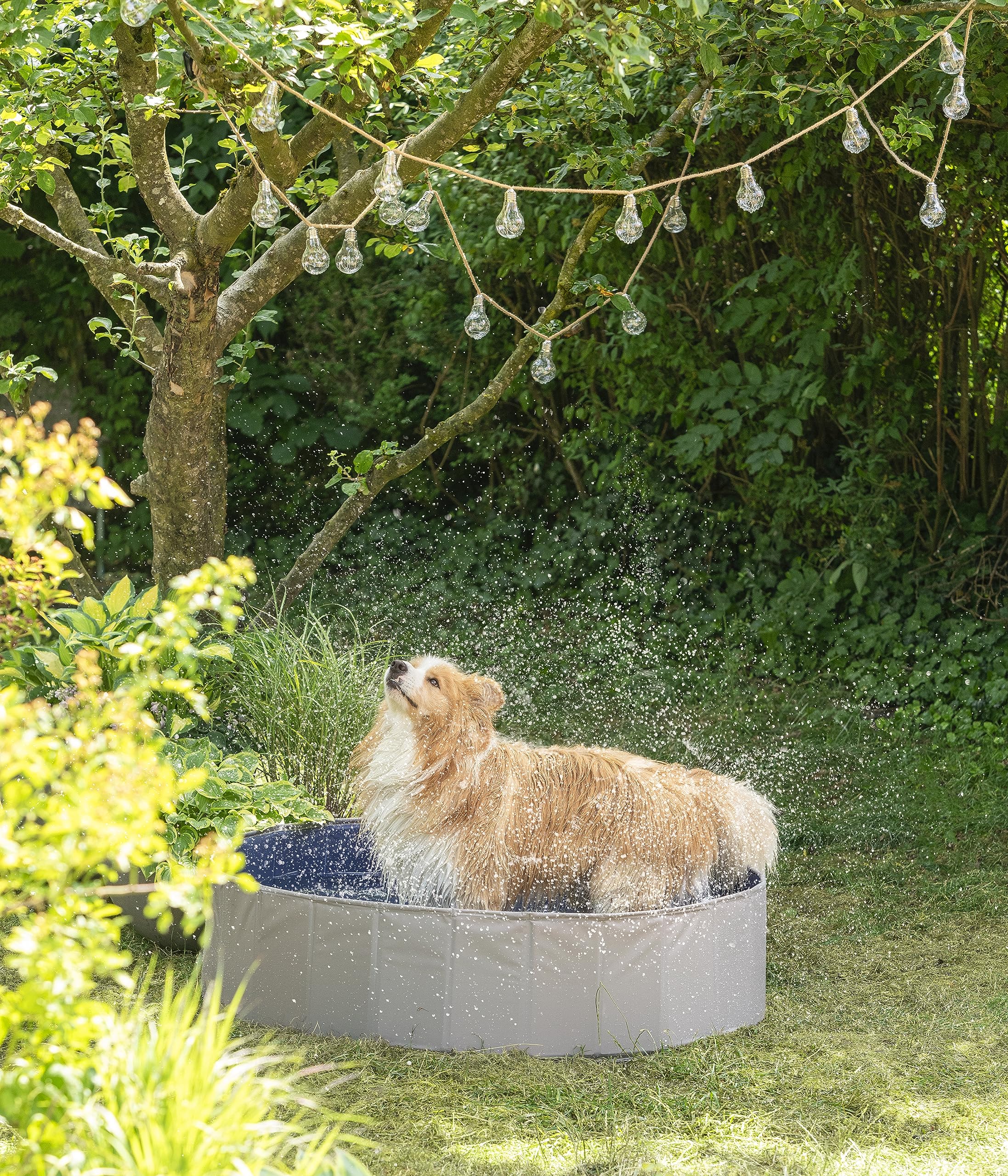 dehner-lieblinge-water-fun-hundepool-120-cm-grau-blau image 2