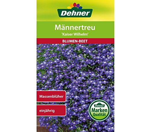 dehner-m-nnertreu-kaiser-wilhelm-blumensamen-5er-pack-einj-hrig image 3
