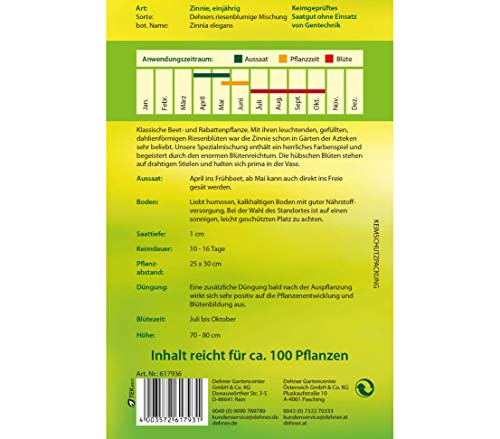 dehner-zinnie-riesenblumige-mischung-blumensamen-5er-pack image 4