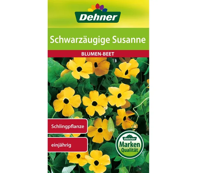 dehner-blumen-saatgut-schwarz-ugige-susanne-5er-pack-rankpflanze image 1