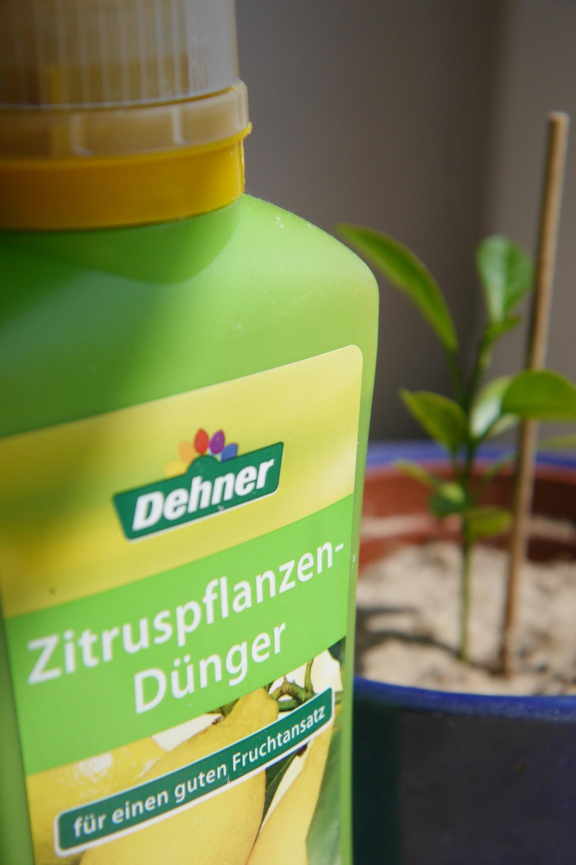 Fruchtet wieder