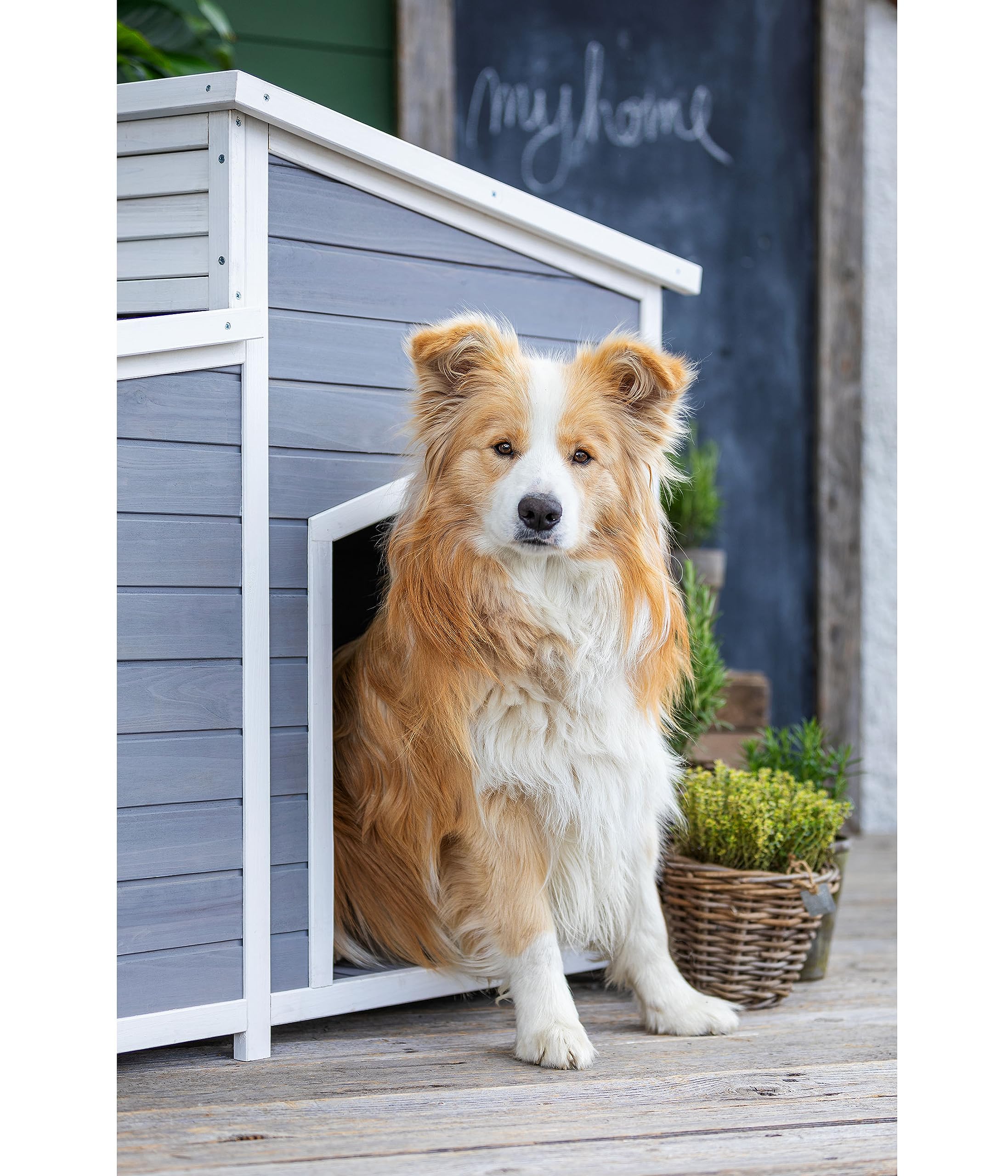 dehner-lieblinge-hundeh-tte-balu-holz-128cm-grau image 8