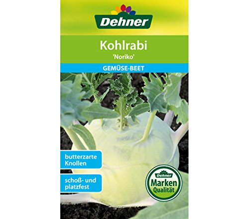 dehner-kohlrabi-noriko-gem-sesamen-2g-schossfest image 3