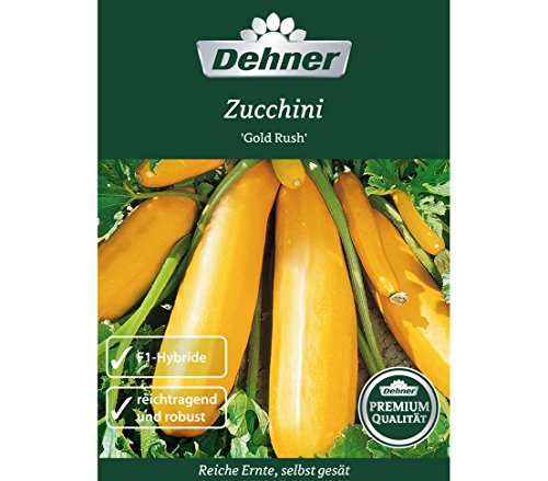 dehner-premium-zucchini-gold-rush-5x4-g-f1-gelb-ertragreich image 3