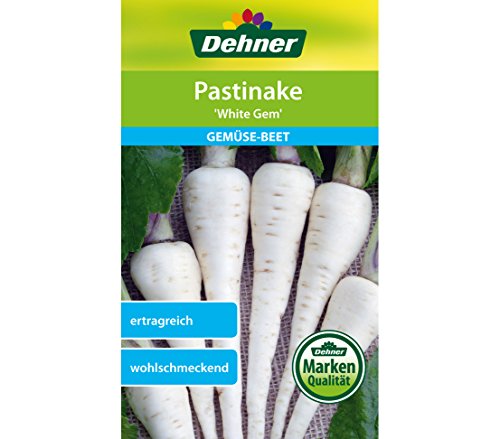 dehner-white-gem-pastinaken-samen-5x3-g-ertragreich image 3