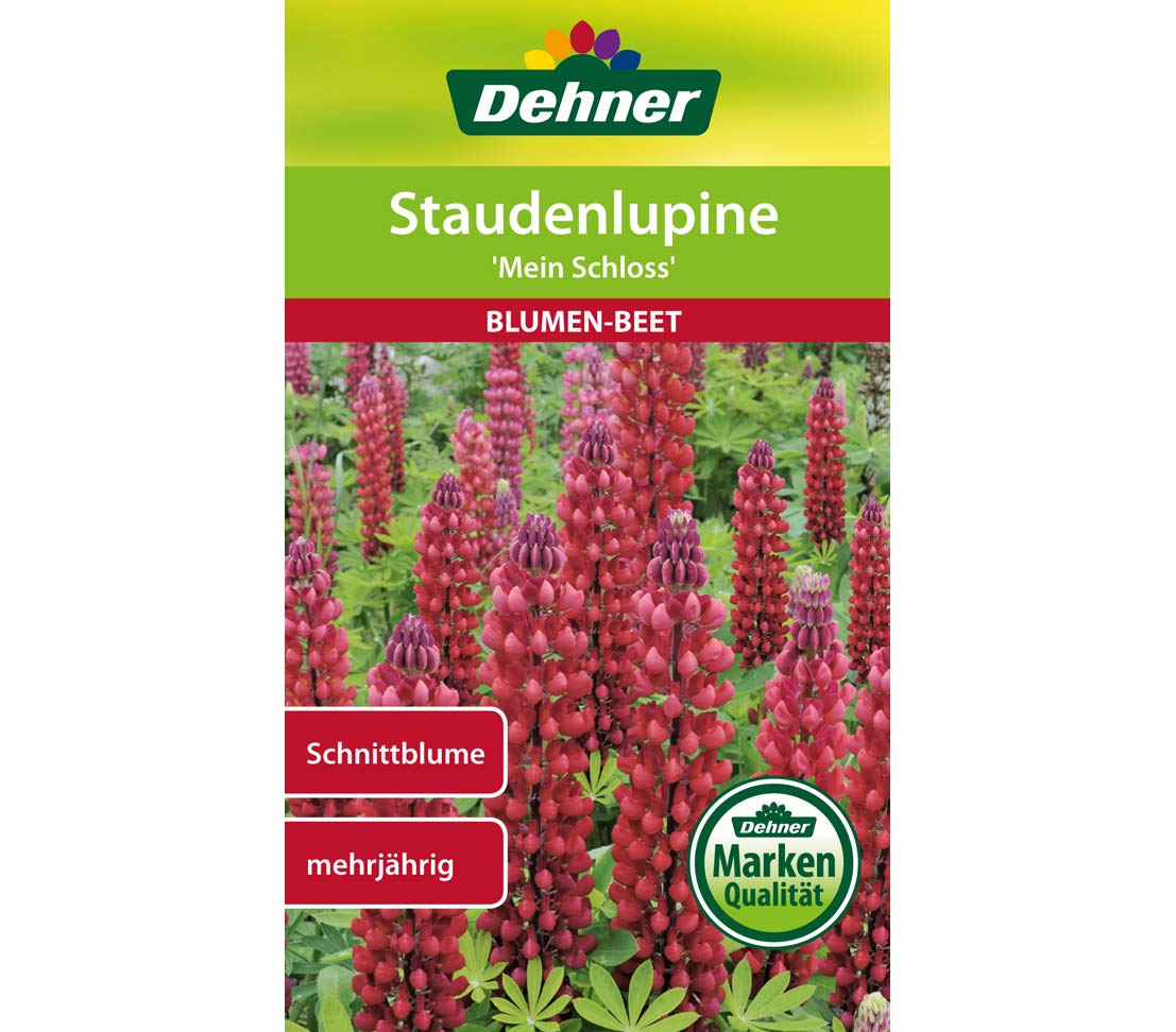 dehner-staudenlupine-mein-schloss-blumensamen-5er-pack-rot image 1