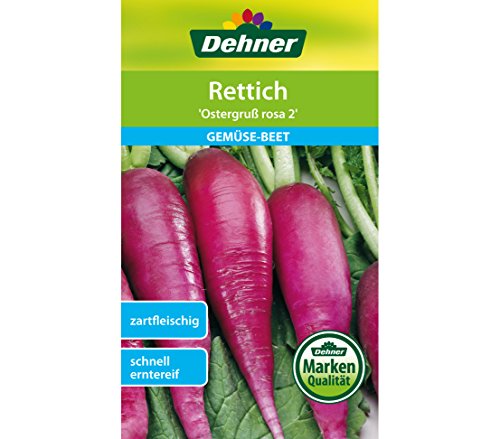 dehner-ostergru-rosa-2-rettich-samen-5er-pack-zartfleischig image 3