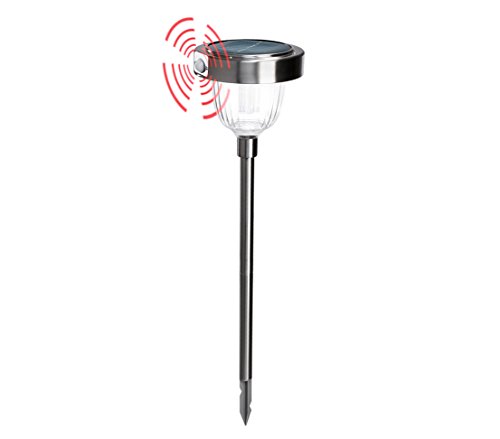 dehner-asinara-solar-steckleuchte-77-cm-silber-mit-sensor image 8