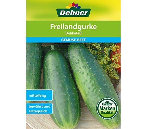dehner-freilandgurke-delikate-gem-sesaatgut-5x10g-ertragreich image 3