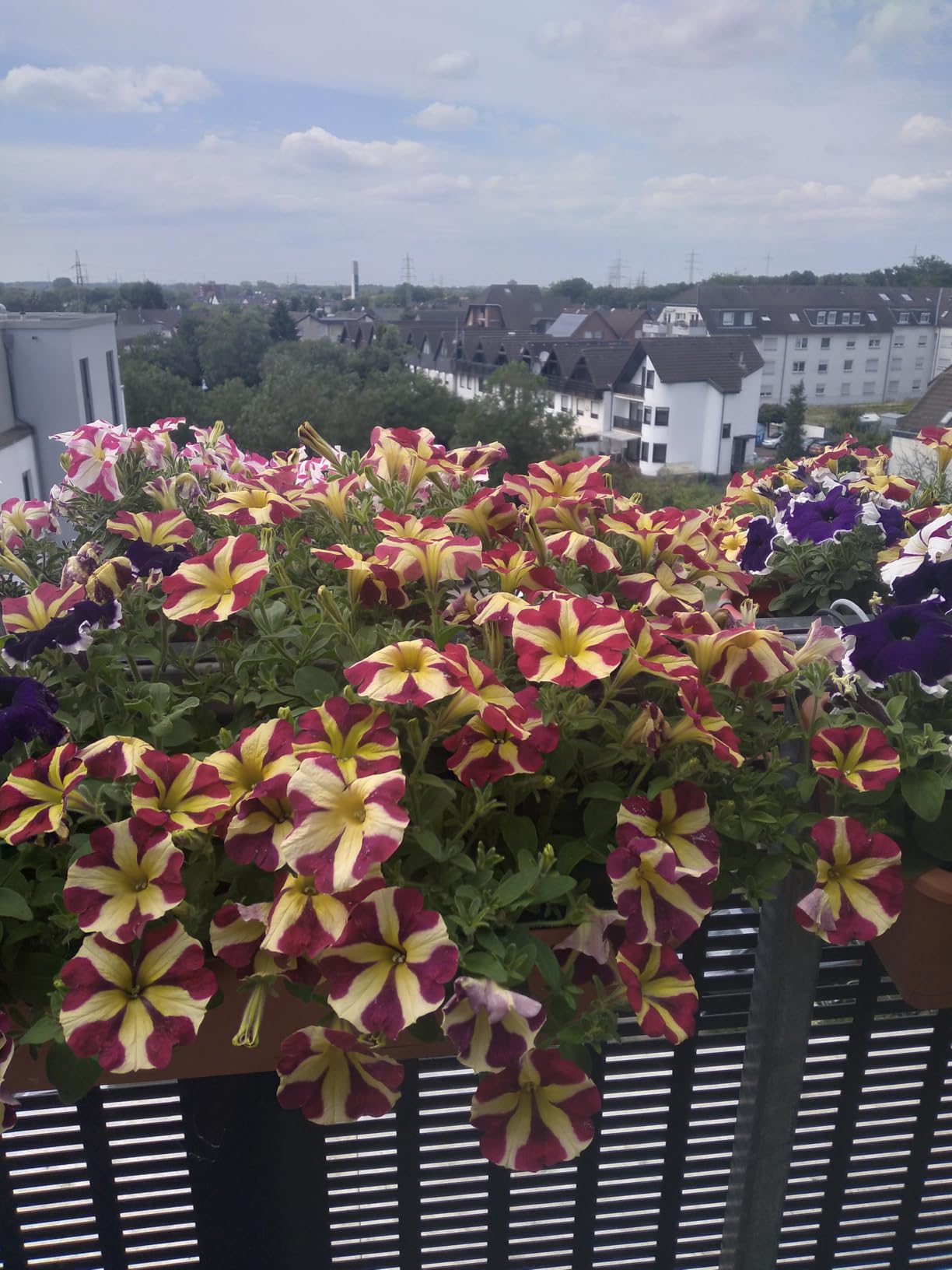 Für Balkon