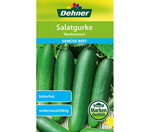 dehner-salatgurke-marketmore-gem-sesaatgut-5x10g-bitterfrei image 2