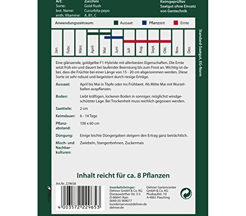dehner-premium-zucchini-gold-rush-5x4-g-f1-gelb-ertragreich image 4