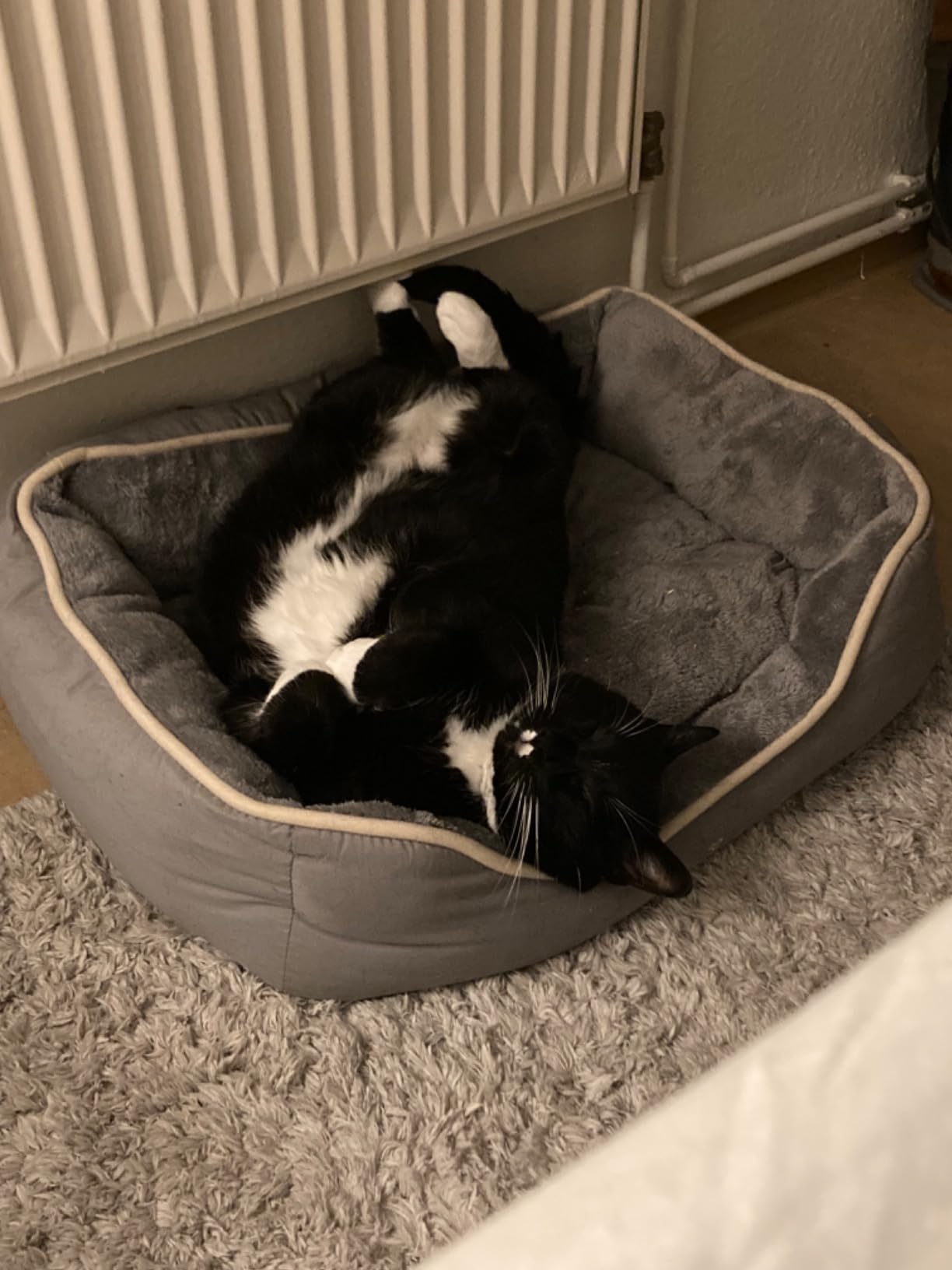 Passt in Ecke