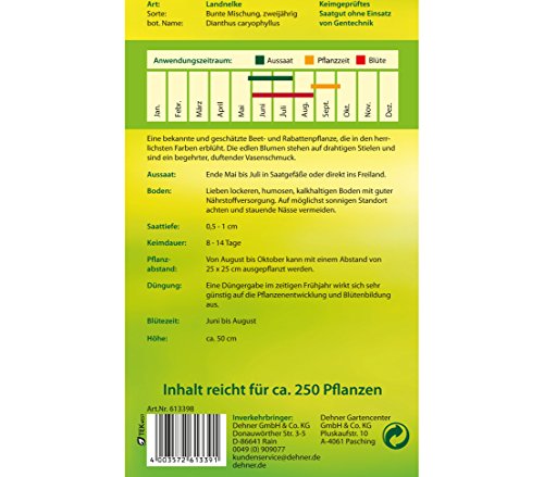 dehner-landnelke-bunte-mischung-blumensamen-5er-pack-zweij-hrig image 4