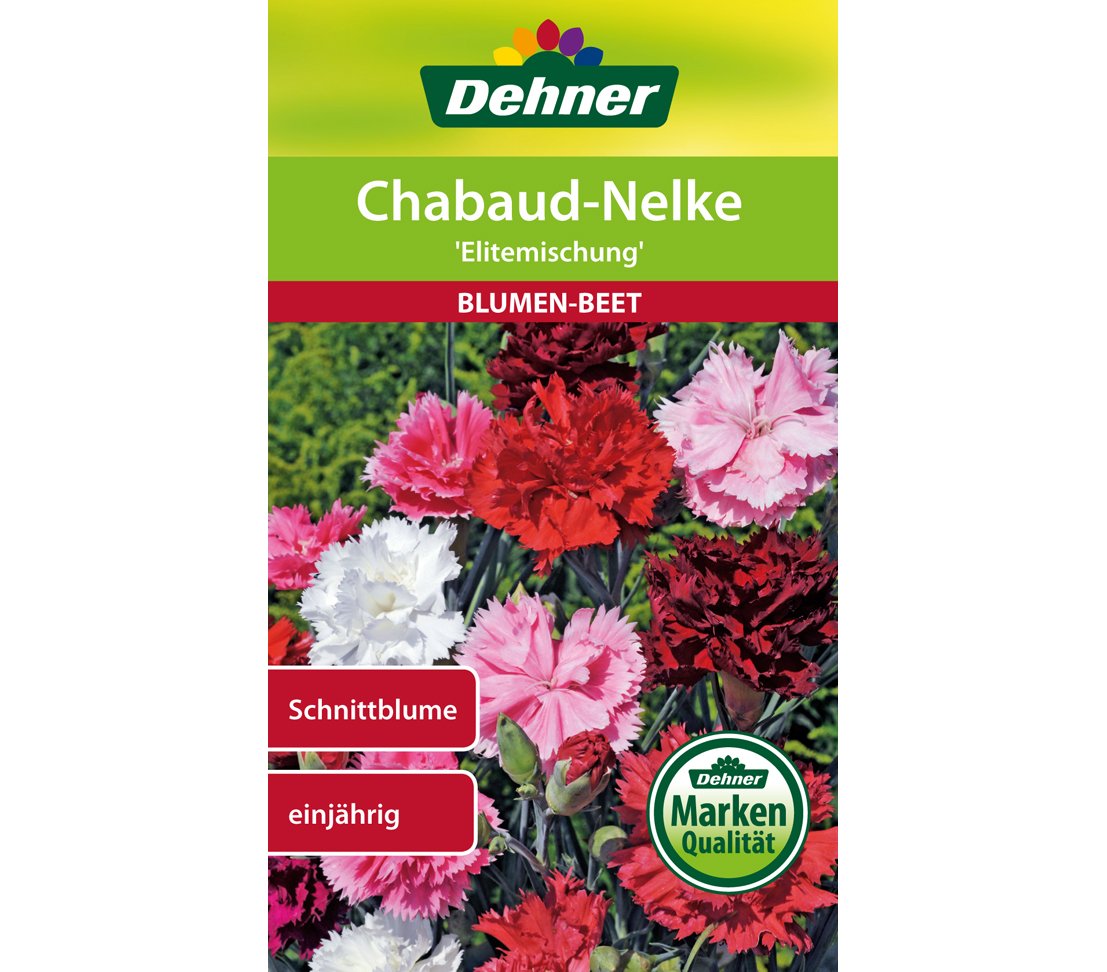 dehner-chabaud-nelke-elitemischung-blumensamen-5er-pack-einj-hrig image 1