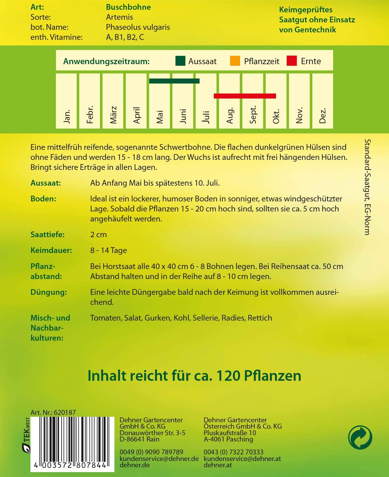 dehner-artemis-buschbohnen-samen-5er-pack-fadenlos image 2