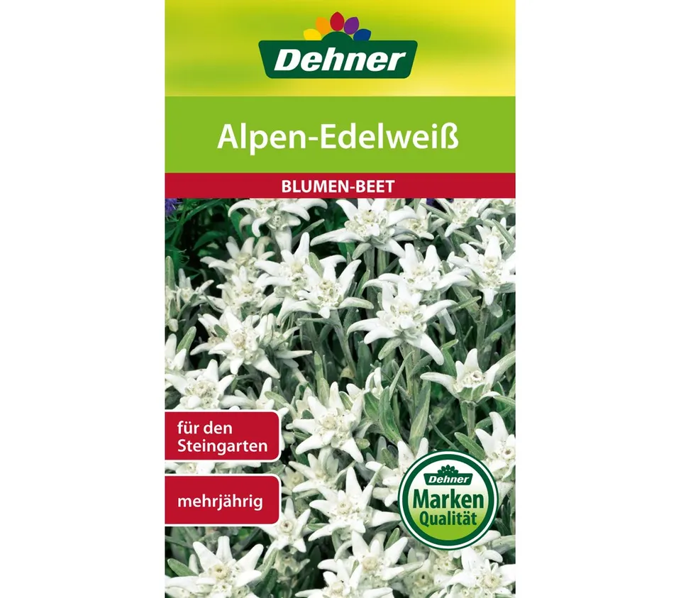 dehner-alpen-edelwei-blumensamen-5er-pack-mehrj-hrig image 1