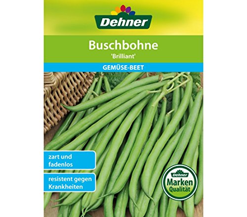 dehner-buschbohne-brilliant-saatgut-5er-pack-fadenlos image 3
