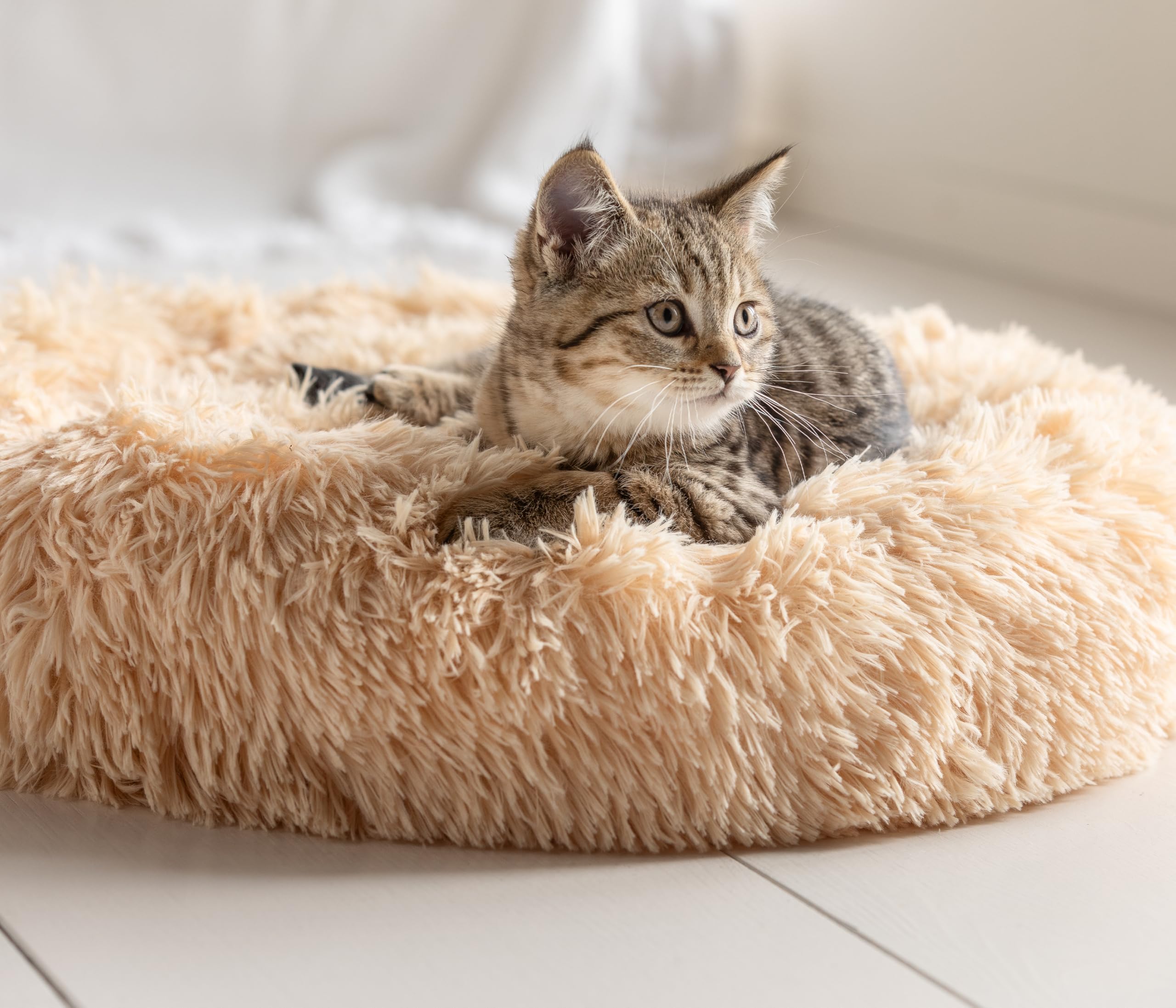 dehner-lieblinge-cookie-hundebett-katzenbett-l-dunkelgrau image 4