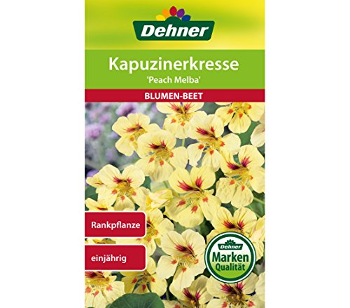 dehner-kapuzinerkresse-peach-melba-saatgut-5x5-g image 3