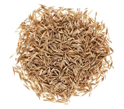 dehner-feiner-rasen-rasensamen-0-63-kg-f-r-25-qm-pflegeleicht image 4