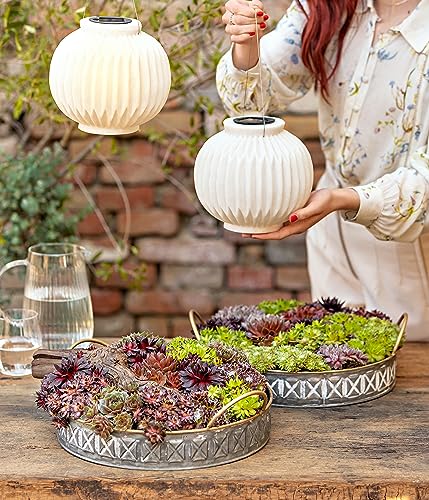 dehner-belle-solar-laterne-21cm-polyresin-gartenleuchte-beige image 6