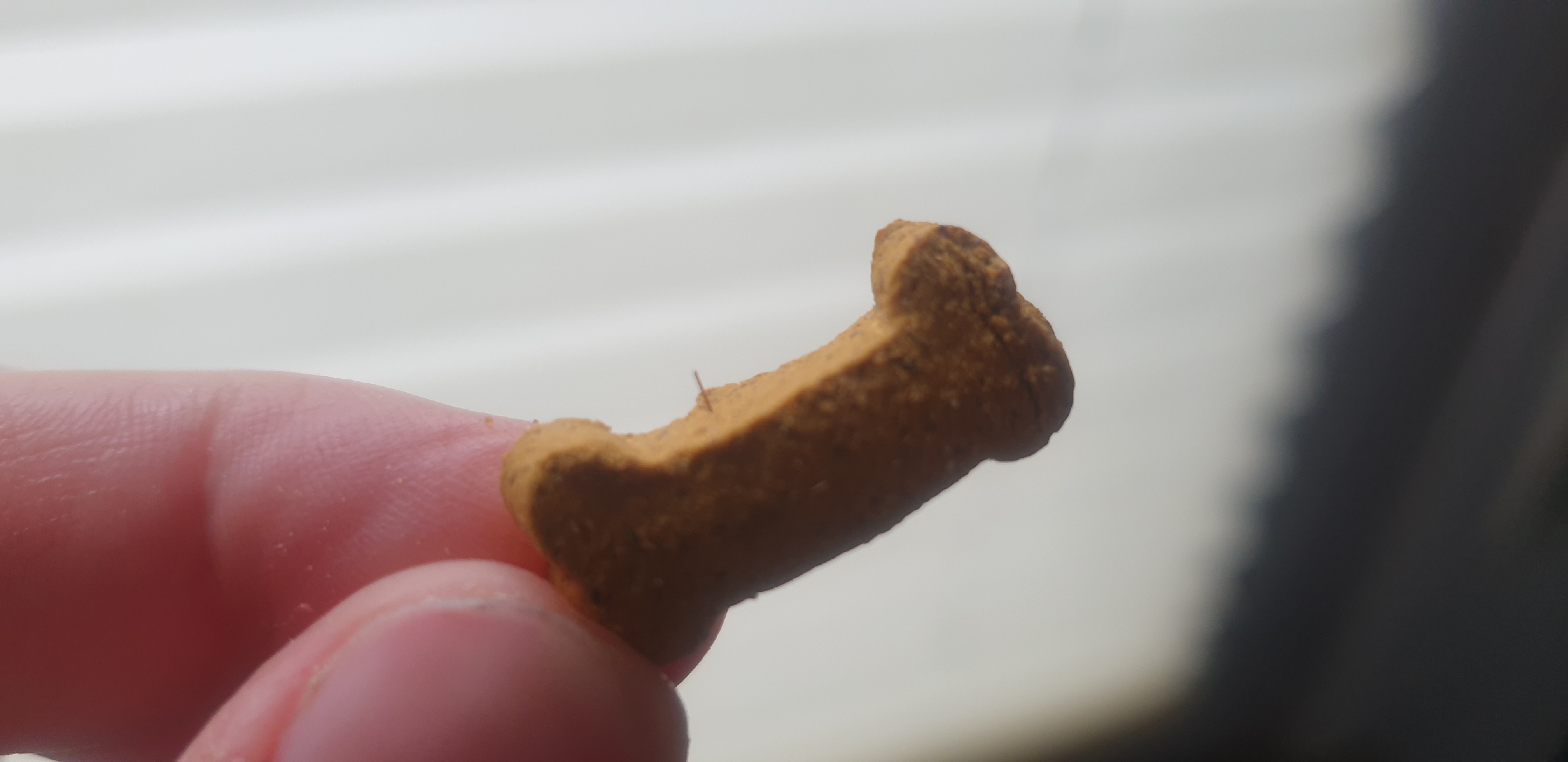 Fleischig
