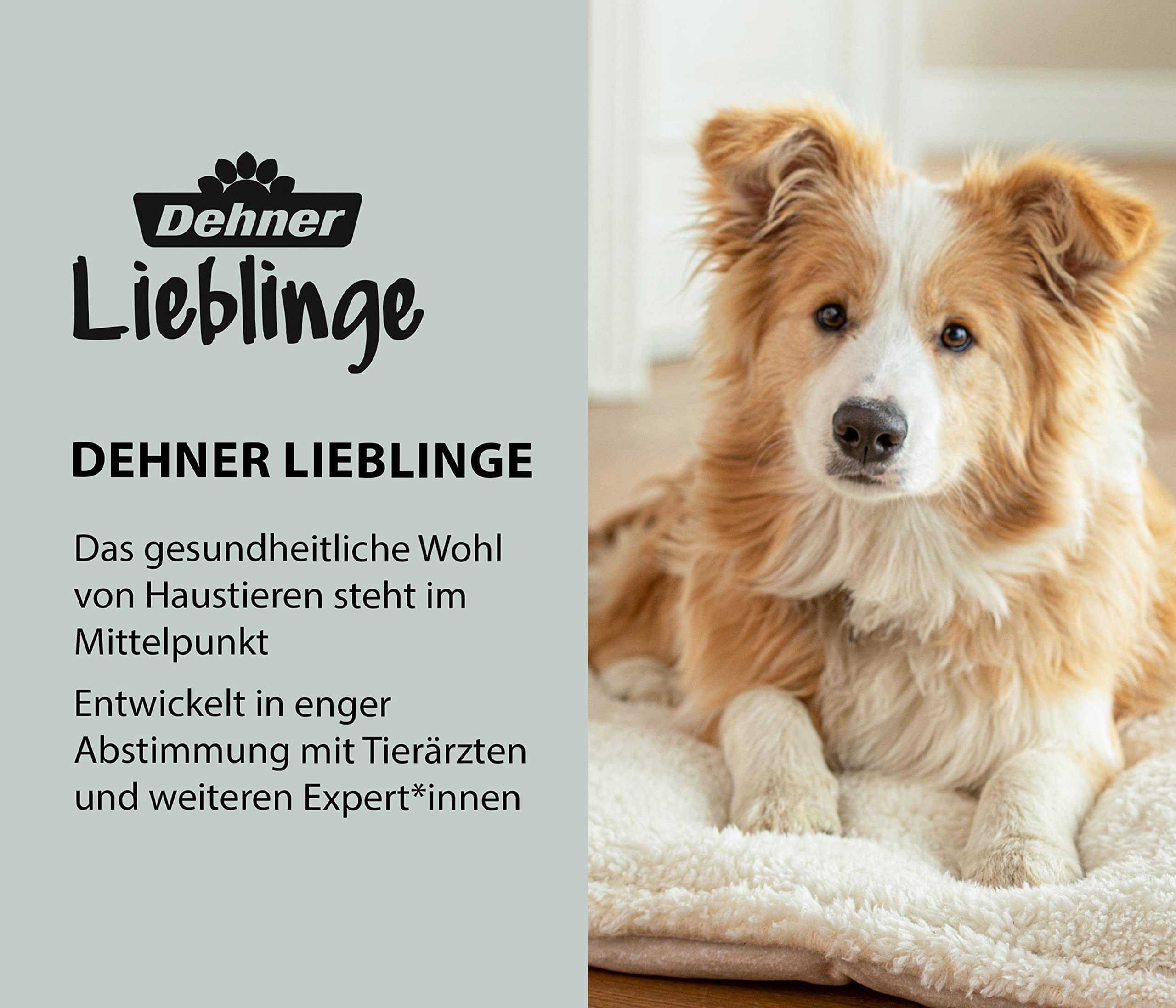 dehner-lieblinge-leckerlidose-dolomit-wei-schwarz image 2