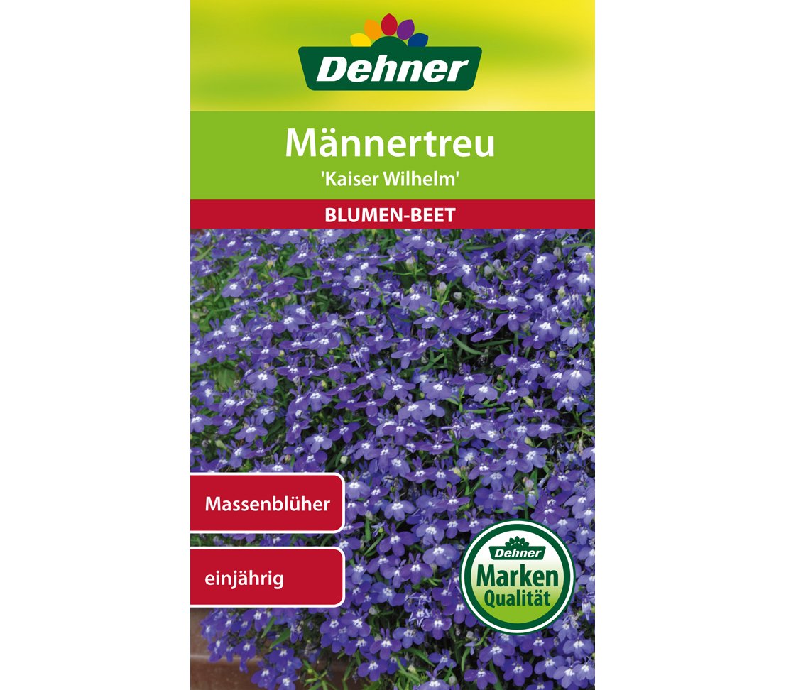 dehner-m-nnertreu-kaiser-wilhelm-blumensamen-5er-pack-einj-hrig image 1