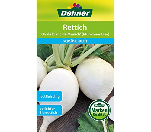 dehner-rettich-ovale-blanc-de-munich-samen-5x4g-bierrettich image 3